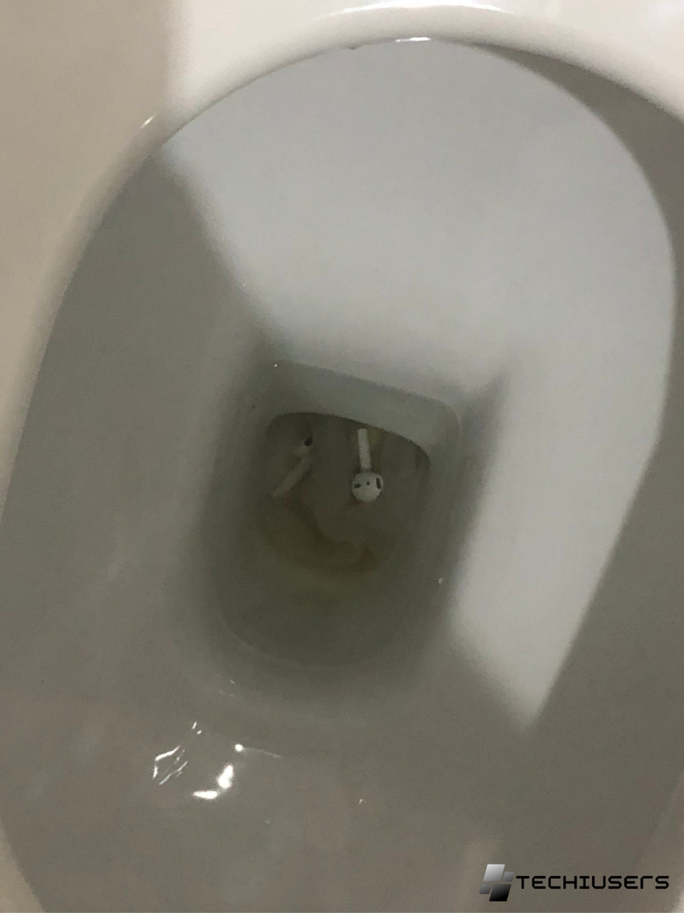 I Dropped my Airpods in the Toilet